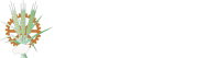 Logo-Spedo-Fratelli-Ufficiale